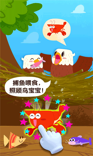 宝宝鸟类认知 点击查看大图