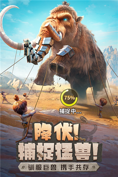 点击查看大图