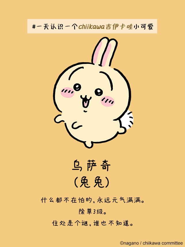 口袋吉伊卡哇中文版