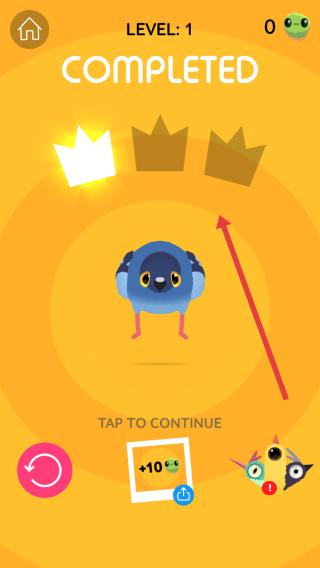 pigeon疯狂的鸽子