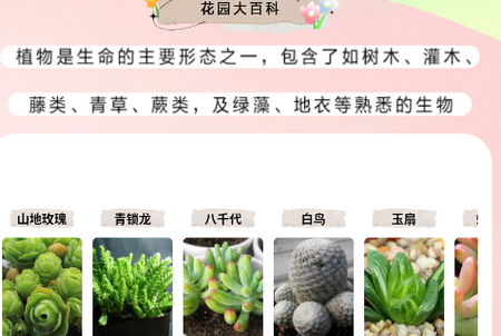 万物识图大师app