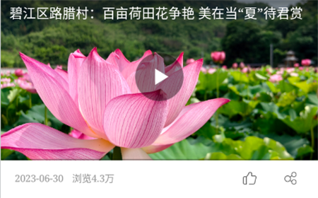 碧江融媒官方版