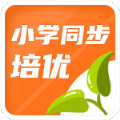 小学同步培优app资源版