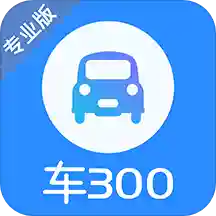 车300专业版安卓手机端