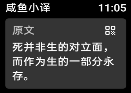 咸鱼小译翻译软件