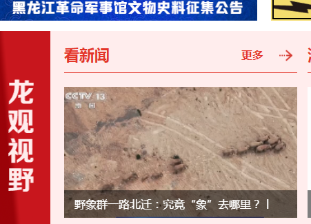 龙头新闻客户端