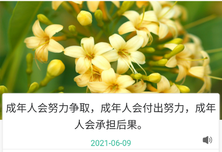 萌芽小学英语软件