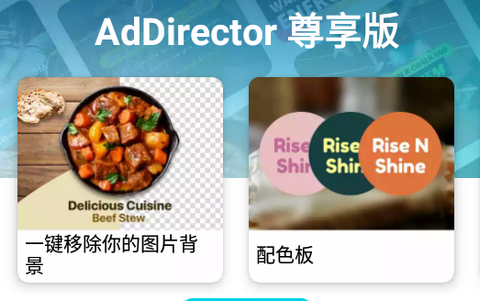 AdDirector尊享版app