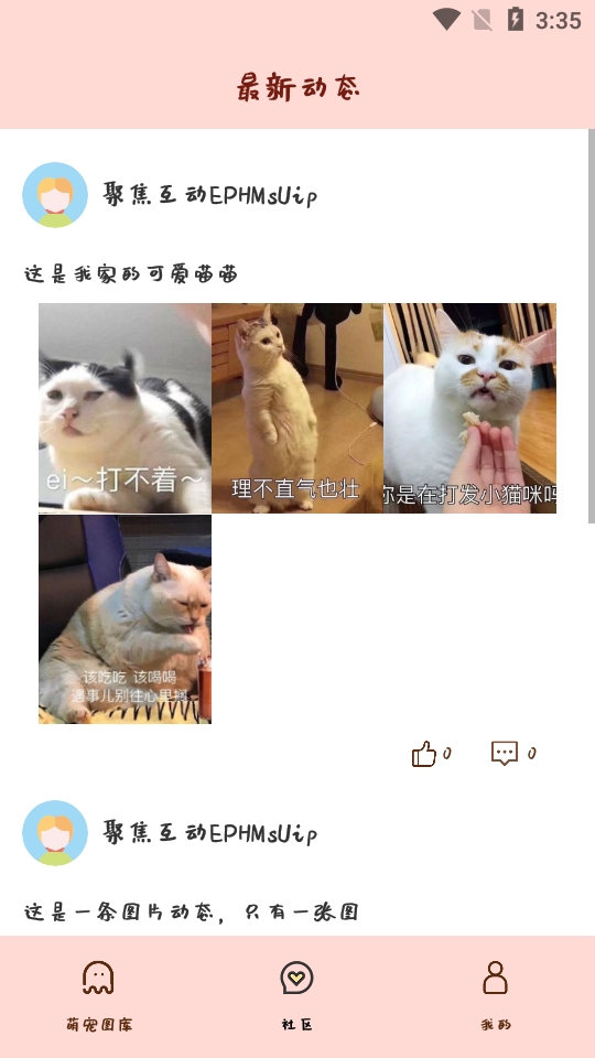 喵喵撸猫APP