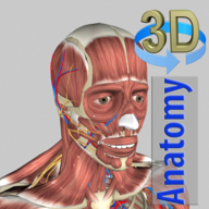 3D Anatomy安卓付费版