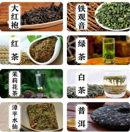 茶七网app