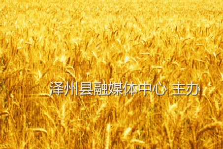掌上泽州app