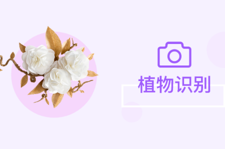 灵通植物app