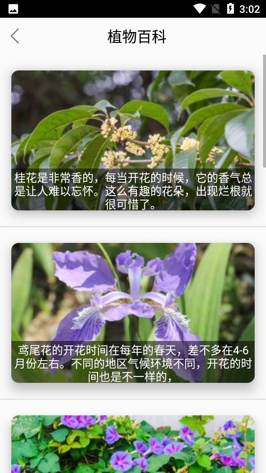 灵通植物app