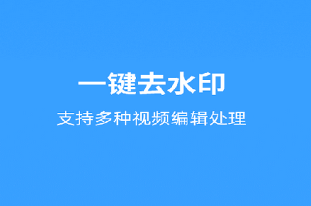 视频去水印王app