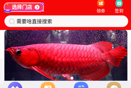 同城宠物APP