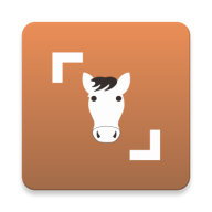 马鉴定器(Horse Scanner)