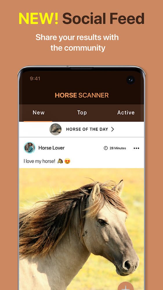 马鉴定器(Horse Scanner)