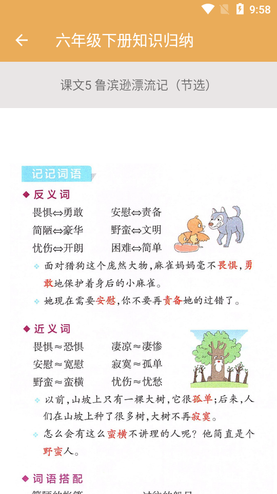 小学语文知识大全app