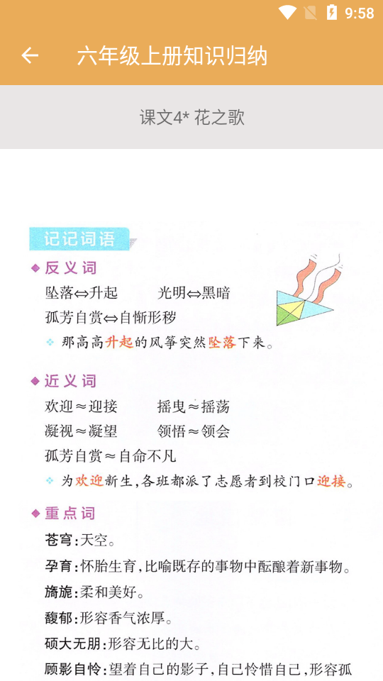 小学语文知识大全app