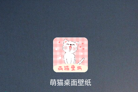 萌猫桌面壁纸app