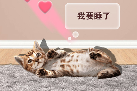 猫猫语言转换器app