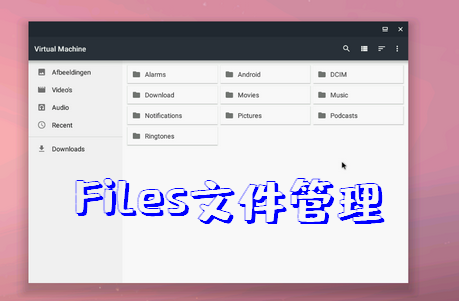 Files打开data文件夹