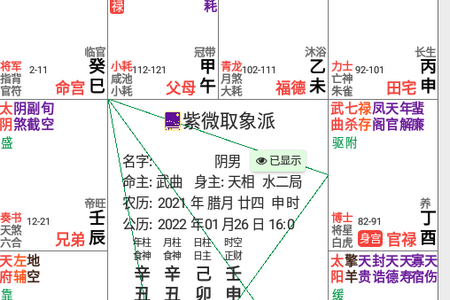 紫微取象派