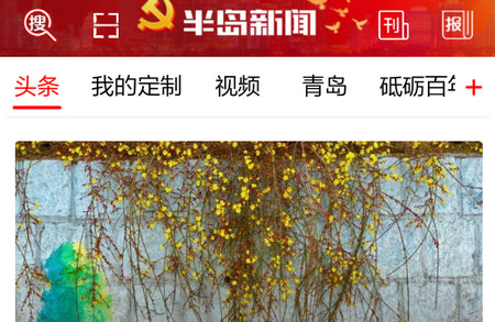 半岛新闻客户端