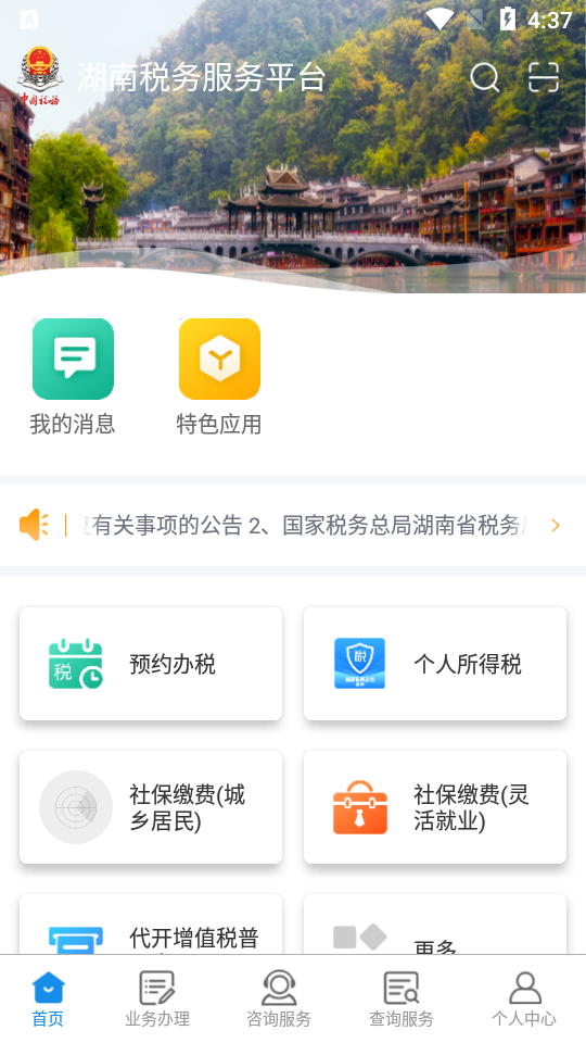 湖南税务服务平台app