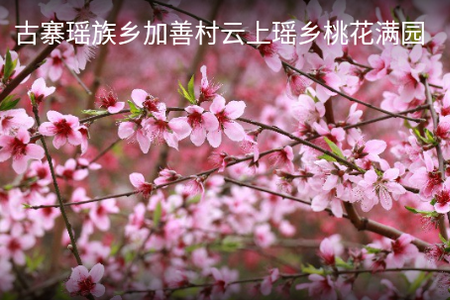马山融媒app