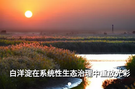 生态头条客户端app