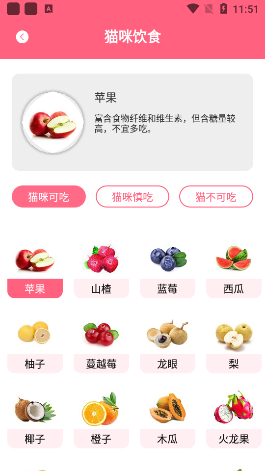 人猫翻译神器app