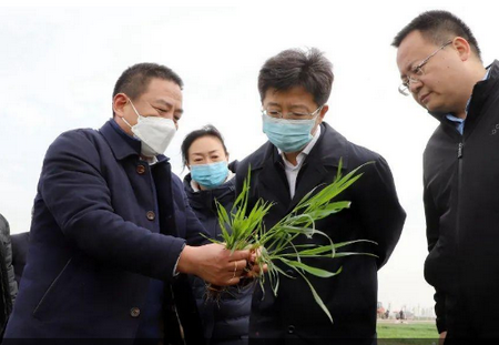 安阳市政府网
