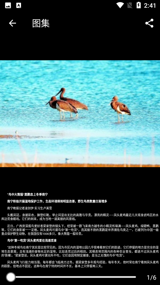 掌上广西