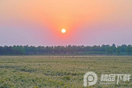 邳州银杏甲天下app下载, 邳州银杏甲天下app下载