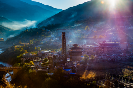 纯净小金APP 纯净小金APP