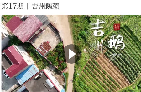 云吉州客户端