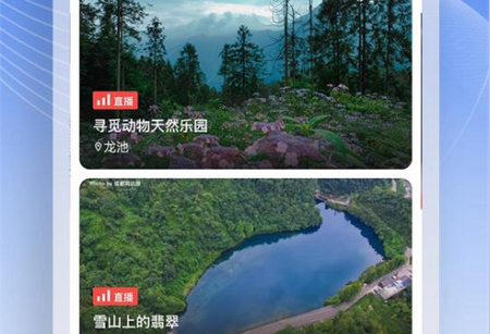 世乒通app官方版