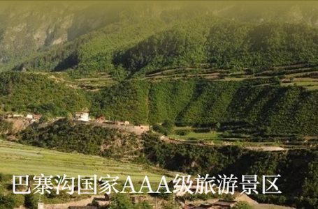 花开舟曲app手机版 花开舟曲app手机版