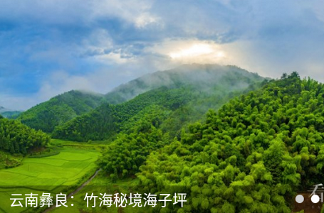 看彝良app安卓版