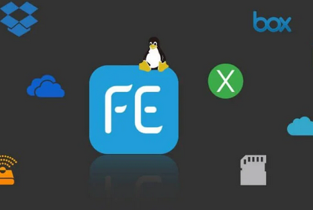 FE文件管理器专业版