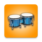 打击乐器(Congas&Bongos)