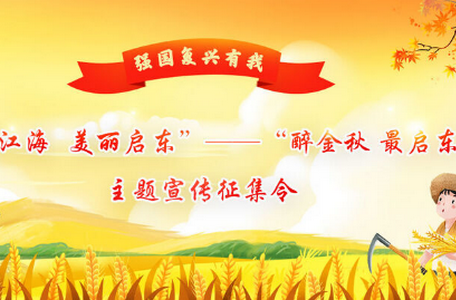 i启东app官方版