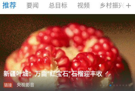 叶城好地方app