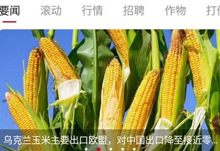 农资头条新闻