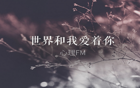 心理FM双端版