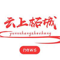 云上柘城app官方版