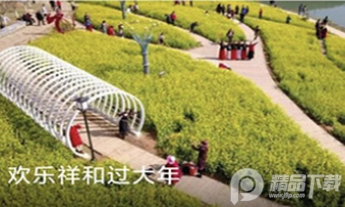 南平发布app官方版