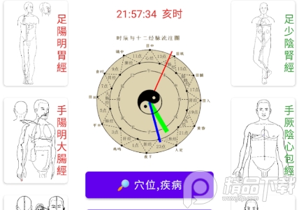 中医经络穴位流注app无广告版
